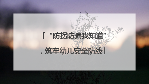 “防拐防骗我知道”，筑牢幼儿安全防线
