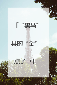 “黑马”县的“金”点子→