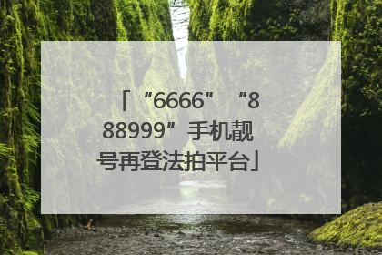 “6666”“888999”手机靓号再登法拍平台