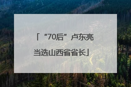 “70后”卢东亮当选山西省省长
