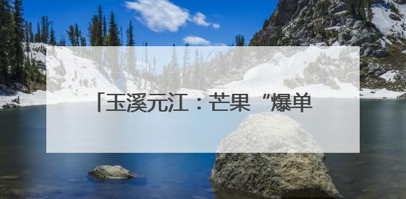 玉溪元江：芒果“爆单” 联农带农产业兴