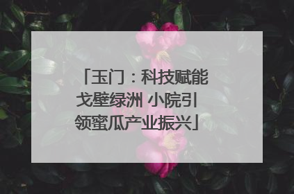 玉门：科技赋能戈壁绿洲 小院引领蜜瓜产业振兴
