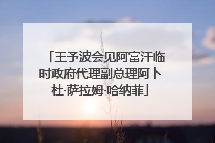 王予波会见阿富汗临时政府代理副总理阿卜杜·萨拉姆·哈纳菲