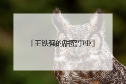 王铁强的甜蜜事业