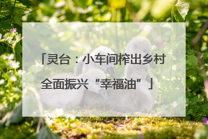 灵台：小车间榨出乡村全面振兴“幸福油”
