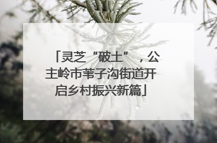 灵芝“破土”，公主岭市苇子沟街道开启乡村振兴新篇