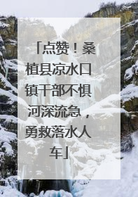 点赞！桑植县凉水口镇干部不惧河深流急，勇救落水人车