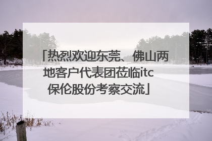 热烈欢迎东莞、佛山两地客户代表团莅临itc保伦股份考察交流