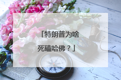 特朗普为啥死磕哈佛？