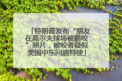 特朗普发布“朋友在高尔夫球场被鹅咬”照片，被咬者疑似美国中东问题特使
