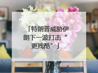 特朗普威胁伊朗下一波打击“更残酷”