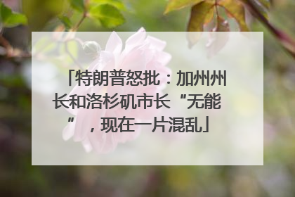 特朗普怒批：加州州长和洛杉矶市长“无能”，现在一片混乱