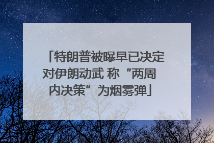 特朗普被曝早已决定对伊朗动武 称“两周内决策”为烟雾弹