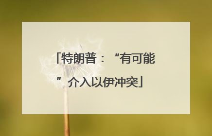 特朗普：“有可能”介入以伊冲突