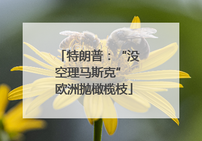 特朗普：“没空理马斯克” 欧洲抛橄榄枝