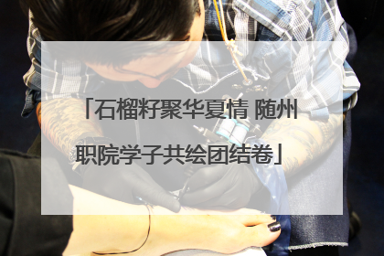 石榴籽聚华夏情 随州职院学子共绘团结卷