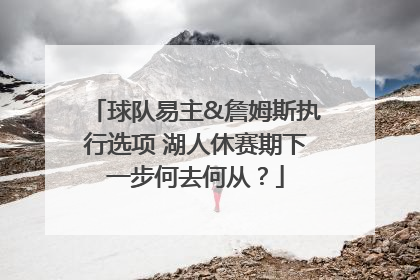 球队易主&詹姆斯执行选项 湖人休赛期下一步何去何从？