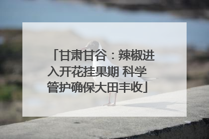 甘肃甘谷：辣椒进入开花挂果期 科学管护确保大田丰收