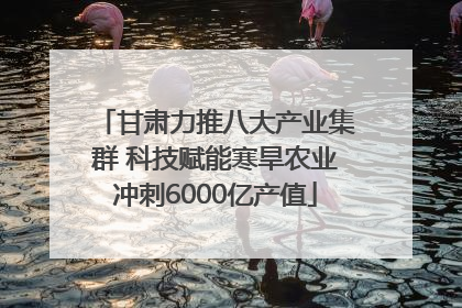 甘肃力推八大产业集群 科技赋能寒旱农业冲刺6000亿产值