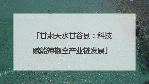 甘肃天水甘谷县：科技赋能辣椒全产业链发展