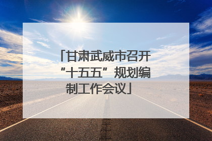 甘肃武威市召开“十五五”规划编制工作会议