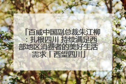 百威中国副总裁朱江柳：扎根四川 持续满足西部地区消费者的美好生活需求丨西望四川