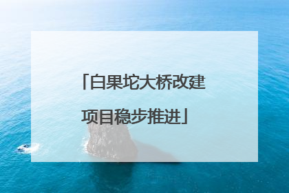 白果坨大桥改建项目稳步推进
