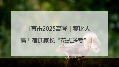 直击2025高考｜葵比人高！宿迁家长“花式送考”