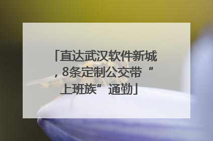 直达武汉软件新城，8条定制公交带“上班族”通勤
