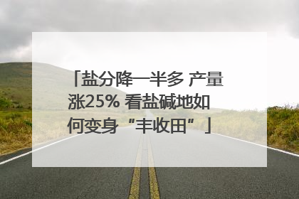 盐分降一半多 产量涨25% 看盐碱地如何变身“丰收田”
