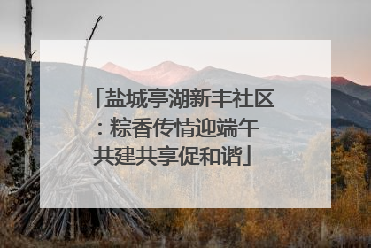 盐城亭湖新丰社区：粽香传情迎端午 共建共享促和谐