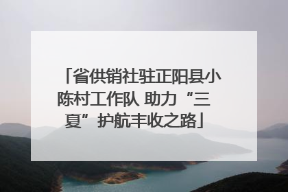 省供销社驻正阳县小陈村工作队 助力“三夏”护航丰收之路