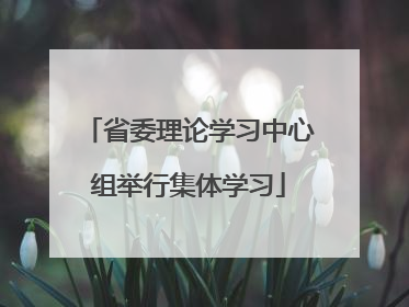 省委理论学习中心组举行集体学习