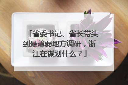 省委书记、省长带头到最薄弱地方调研，浙江在谋划什么？