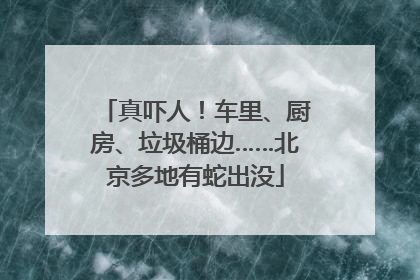 真吓人！车里、厨房、垃圾桶边……北京多地有蛇出没
