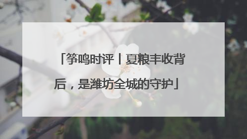 筝鸣时评丨夏粮丰收背后，是潍坊全城的守护