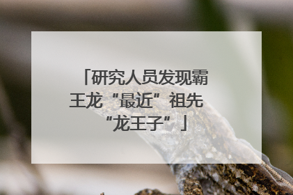 研究人员发现霸王龙“最近”祖先“龙王子”