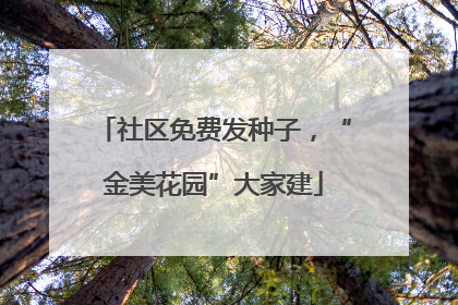 社区免费发种子，“金美花园”大家建