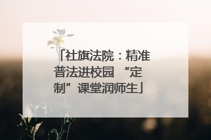 社旗法院：精准普法进校园 “定制”课堂润师生