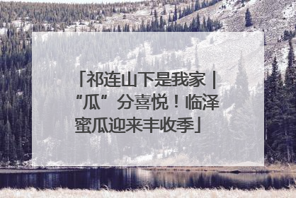 祁连山下是我家｜“瓜”分喜悦！临泽蜜瓜迎来丰收季