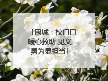 禹城：校门口暖心救助 见义勇为显担当