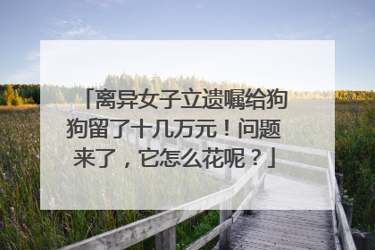 离异女子立遗嘱给狗狗留了十几万元！问题来了，它怎么花呢？