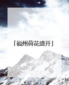 福州荷花盛开