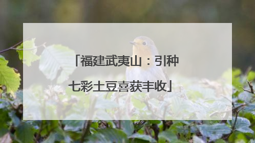 福建武夷山：引种七彩土豆喜获丰收