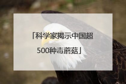 科学家揭示中国超500种毒蘑菇