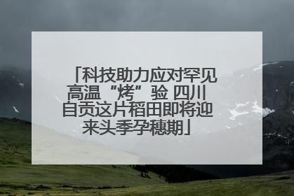 科技助力应对罕见高温“烤”验 四川自贡这片稻田即将迎来头季孕穗期
