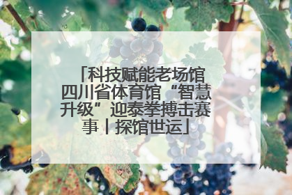 科技赋能老场馆 四川省体育馆“智慧升级”迎泰拳搏击赛事丨探馆世运