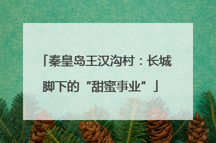 秦皇岛王汉沟村：长城脚下的“甜蜜事业”