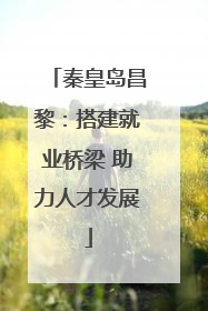 秦皇岛昌黎：搭建就业桥梁 助力人才发展