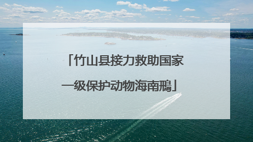 竹山县接力救助国家一级保护动物海南鳽